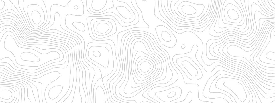 Modern Abstract Topographic Grid Line Seamless Background