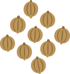 Coriander seeds pile