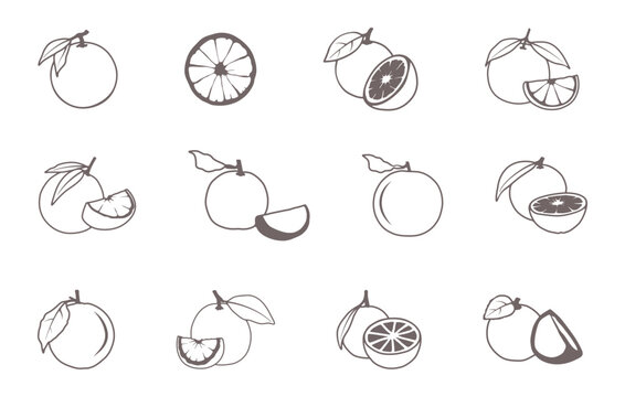 Orange outline, Orange svg, Orange fruit outline, Orange fruit svg, Orange slice outline, Orange with leaf outline, Orange drawing, Orange icon. 