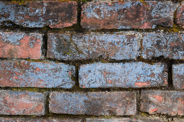 Old brick wall with moss and lichen. Abstract background and texture for design