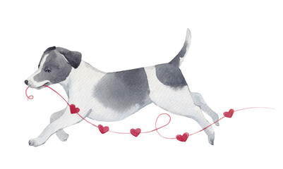 Watercolor illustration of a playful dog running with a garland of red hearts. Cute and romantic pet design for Valentine Day, cards, posters and festive decor.