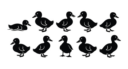 Black and white silhouettes of ducks in various poses and positions