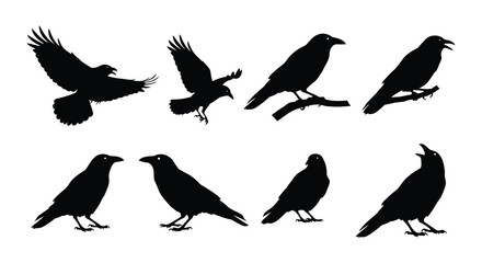 Silhouettes of crows in various poses depicting flight and perching behavior