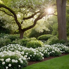 Enchanting Sunset Over Vibrant Poppy Field in Tranquil Countryside Landscape. 6