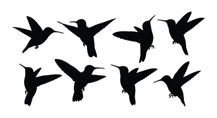 A collection of hummingbird silhouettes in various flight poses and angles