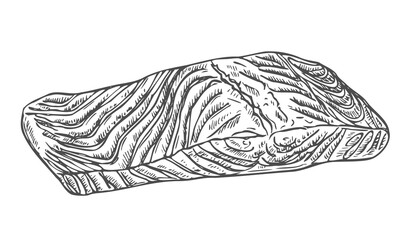 Salmon steak hand drawn isolated on white background for menu design. Vintage engraved sketch. Seafood dot drawing collection