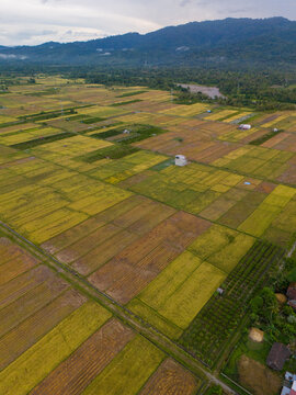 Aerial View of Gemba Village in West Seram Regency, Maluku, Indonesia