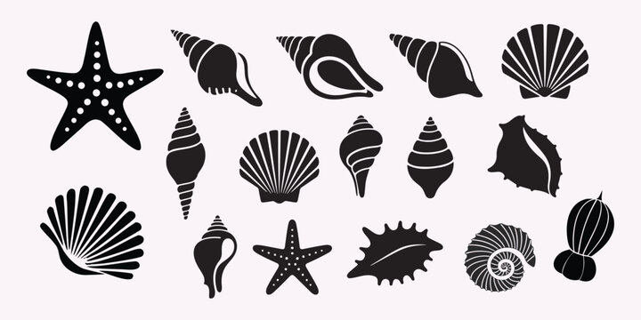 Diverse collection of black silhouette seashells and starfish vector illustrations perfect for beach and ocean themed designs