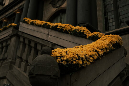 Gand, Belgique