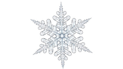 Close-up macro photograph of a beautiful, intricate, and delicate hexagonal snowflake with crystalline structure.