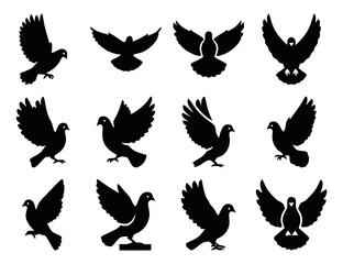 Doves In Various Poses Flying Perched Silhouette Isolated