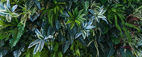Full Frame of Green Leaves Pattern Background, Nature Lush Foliage Leaf Texture, tropical leaf