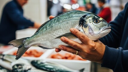 Man holding a fresh gilthead bream fish. Dorado fish. Seafood market shopping. Healthy eating and mediterranean cuisine ingredient.