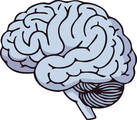 A light blue cartoon illustration of the human brain for medical and science design