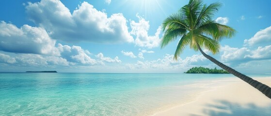 Beach scene with blue sky, white sand, palm tree