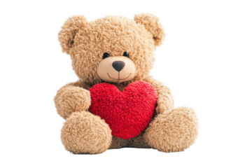 Cute teddy bear holding a red heart isolated on transparent background. Cute teddy bear with a red heart isolated on white background.