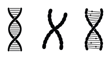 DNA helix and chromosome symbols for genetics, biology, and scientific study of life.