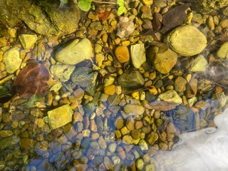 Colorful Riverbed Stones Under Clear Water