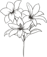 Spring Flowers Hand Drawn Contour Line Drawing. Flowers Lily Bouquet Line Art Sketch Vector Illustration for 8 March, Womens day, Mother's day, Wall Art, Print, Poster Design, Holiday Cards. 