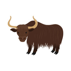 vector drawing wild yak , Bos mutus isolated at white background, hand drawn illustration