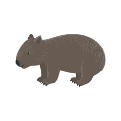 vector drawing Wombat isolated at white background, hand drawn illustration