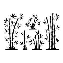 bamboo vector illustration