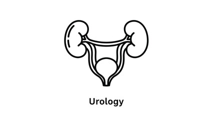 Urology icon showing the human urinary system including kidneys and bladder. Line vector illustration of anatomy for medical design or health application.