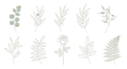 Elegant botanical illustration set of leaves and flowers, minimalist line art design for branding and decor