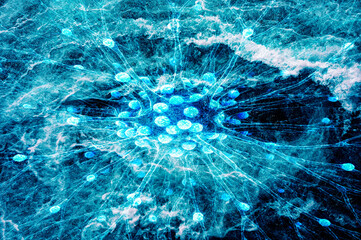 Modélisation Sci-Fi d’un Réseau Neuronal Bio-Énergétique