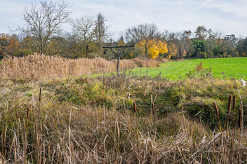 Poteau à rapaces dans le champ en automne