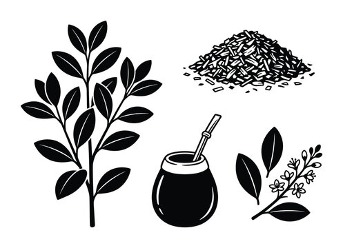 Yerba mate plant, dried leaves, traditional calabash cup with bombilla, and flowering branch icons.