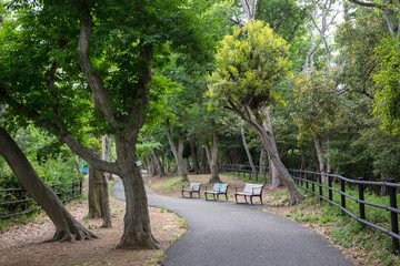 日吉の丘公園（神奈川県横浜市港北区箕輪町３丁目）