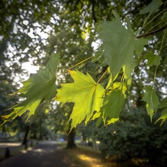 Verdor ba&ntilde;ado por el sol