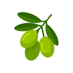 Simple flat 2D vector graphic of Ziziphus, modern icon look, displayed on a pure white background.