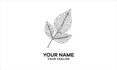 Outline Leaf Logo Template Minimalist Botanical Design Vector Art logo design.