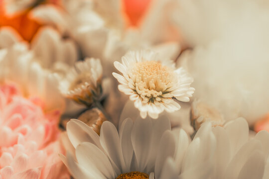 A close-up shot of a bouquet of beautiful flowers with shallow depth of field. imitation of old film - Powered by Adobe