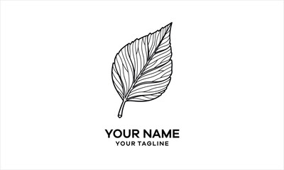 Hand-Drawn Leaf Logo Design - Nature Organic Botanical Sketch logo design.