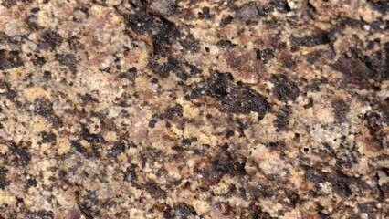 Brown-Gold Speckled Granite Texture – High-Resolution Natural Polished Stone Background