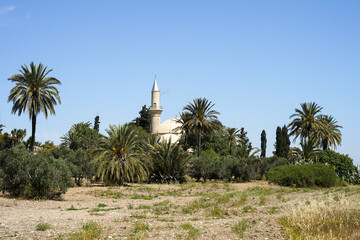 Historic mosque Hala Sultan Tekke surrounded with palm trees, important Muslim pilgrimage and tourist landmark, Larnaca, Cyprus