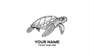 Detailed black and white sketch illustration of a sea turtle swimming, suitable for a logo design. © solihul