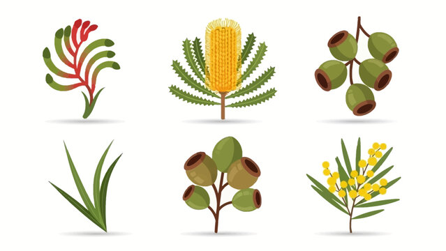 Six stylized Australian native plants arranged in two rows including kangaroo paw banksia eucalyptus pods wattle and blades
