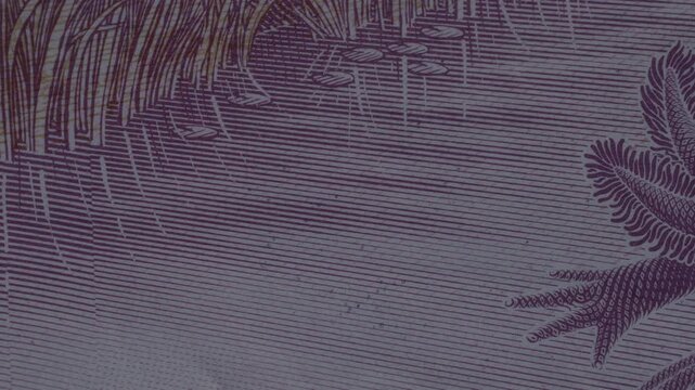 Extreme close-up of the axolotl illustration on the purple Mexican 50 peso bill, showing high-quality engraving details.