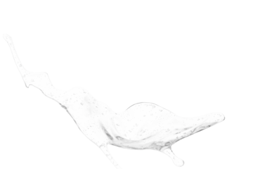 Abstract white liquid splash caught mid-motion on a transparent  background. The transparent fluid forms an elongated, dynamic, and intricate shape with delicate droplets
