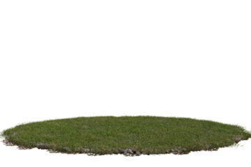 Vibrant green grass patch, slightly irregular oval shape, with textured soil edges, standing alone on a pure transparent  background. A versatile cutout element