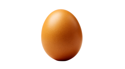 Closeup studio shot of a single brown chicken egg showing its textured surface against a light gray background, perfect for food preparation and nutrition content.