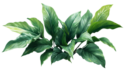 Lush tropical leaves in vibrant green hues create a beautiful botanical arrangement, perfect for naturethemed projects and natural beauty promotions.
