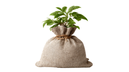 Burlap bag holding a vibrant green plant, symbolizing growth and new beginnings, perfect for financial investment or ecofriendly concepts.