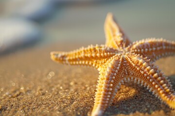 Close up of a starfish lying on the beach with golden sand and blurred ocean waves in the background