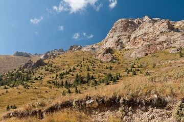View  landscape in Moldo Too, mountain range in the Inner Tian Shan. Naryn region. Kyrgyzstan. Asia.