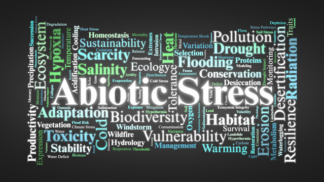 Abiotic Stress Word Cloud. Key Environmental Factors Affecting Biodiversity and Ecosystems